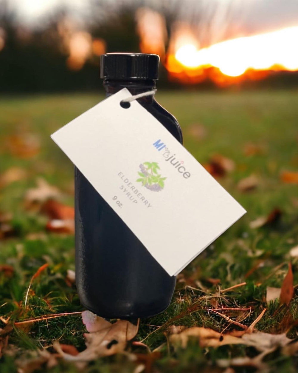 Elderberry Elixir (8 oz)