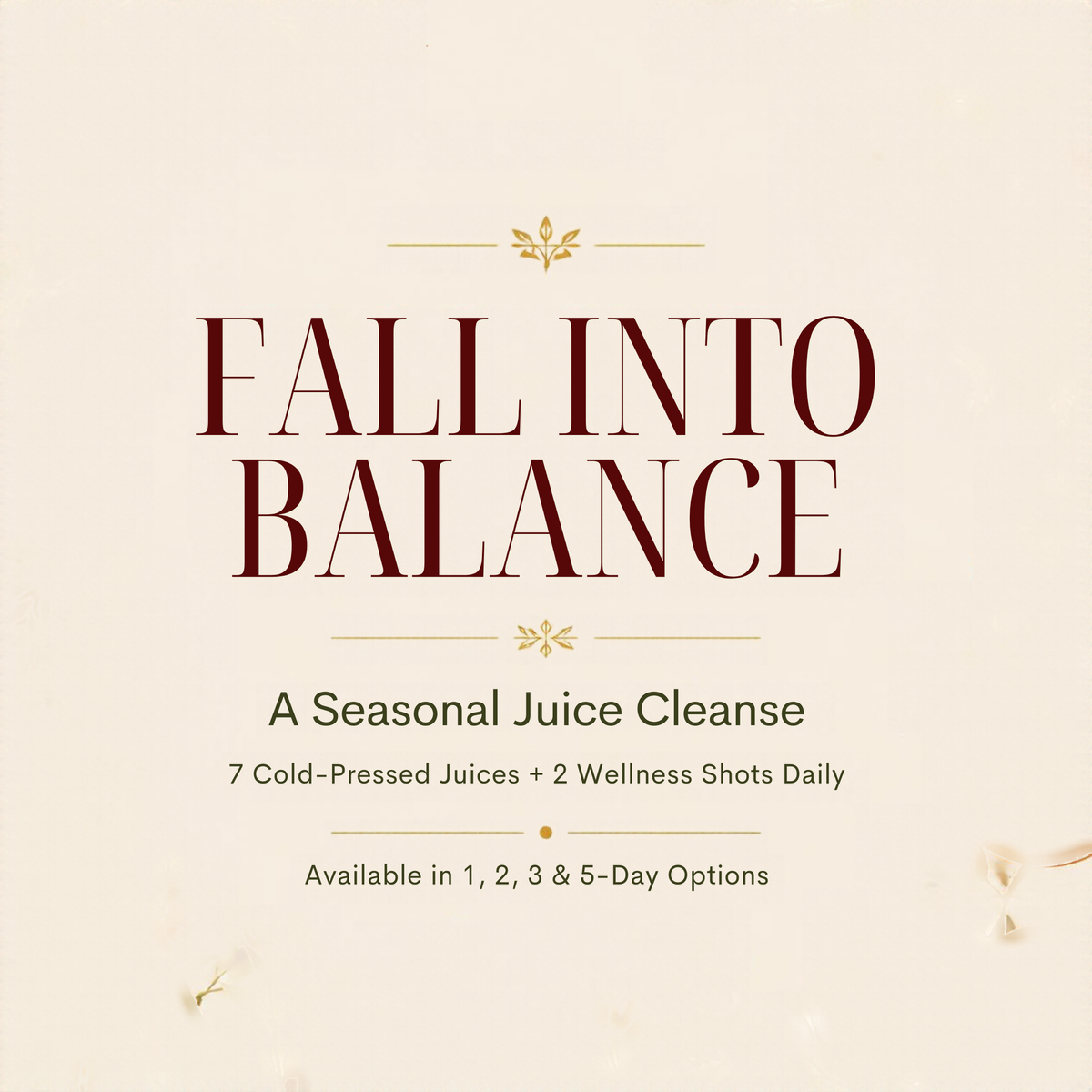 FALL INTO BALANCE