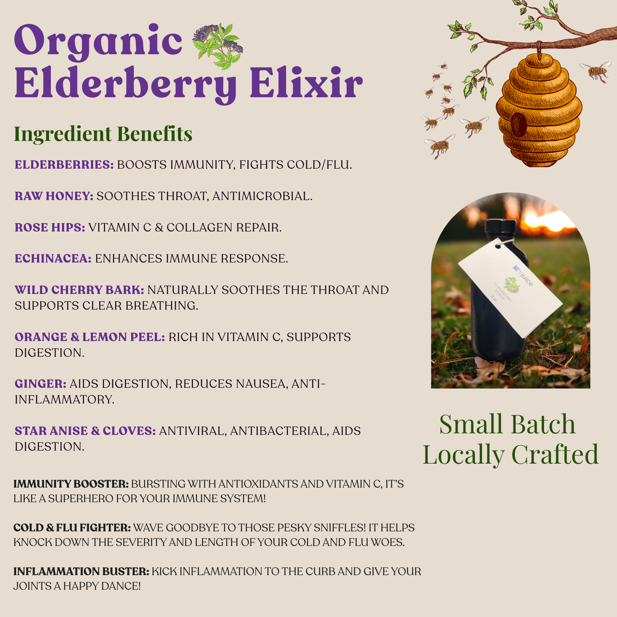 Elderberry Elixir (8 oz)